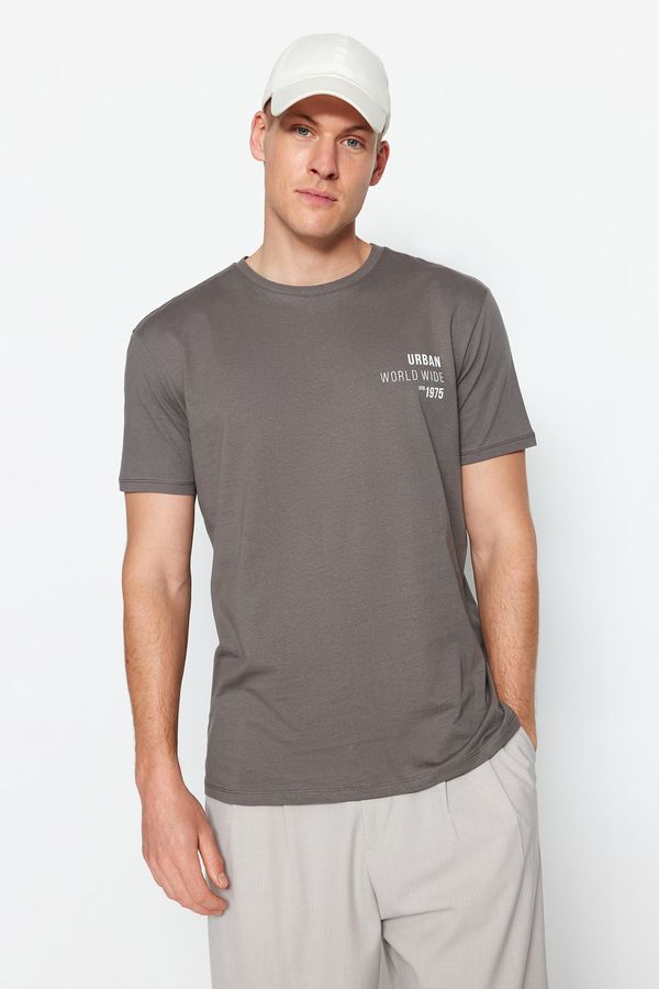 Trendyol Trendyol Anthracite Regular/Normal Fit 100% Cotton Minimal Text Printed T-Shirt