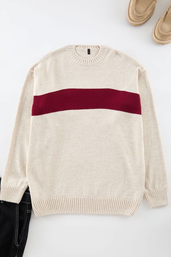 Trendyol Trendyol Beige Regular Crew Neck Color Block Knitwear Sweater