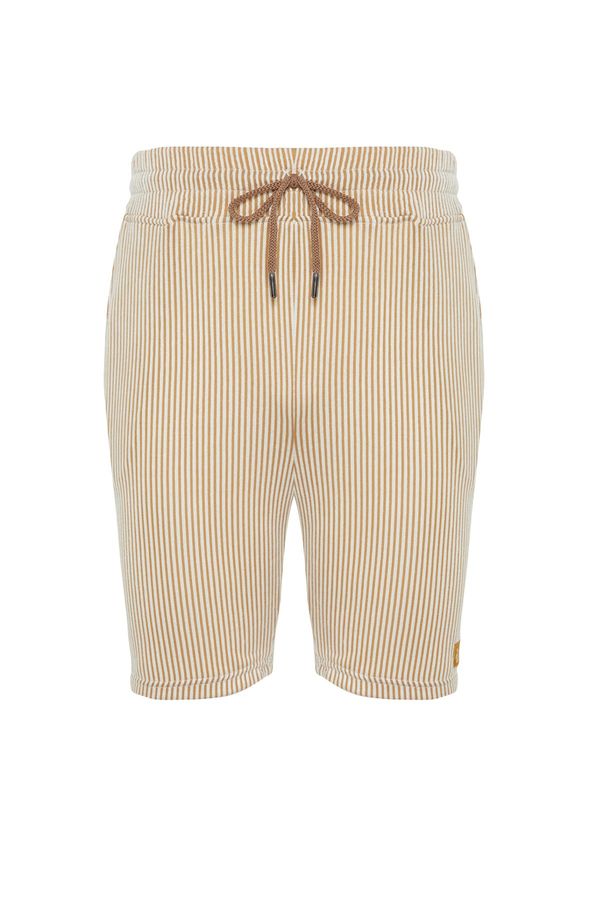 Trendyol Trendyol Beige Striped Regular/Regular Fit Shorts