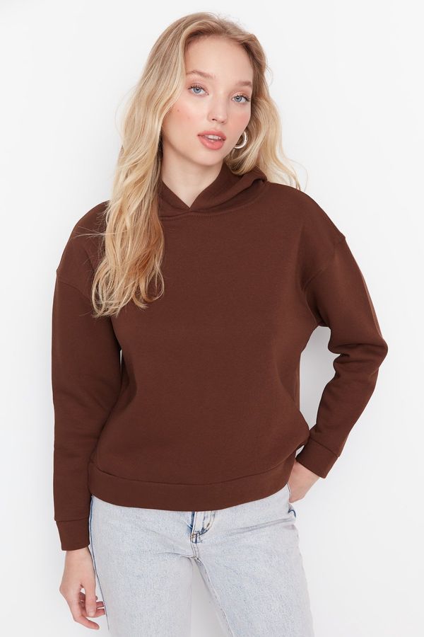 Trendyol Trendyol Brown Regular/Normal Wear Basic with a Hooded Fleece Inside Knitted Sweatshirt