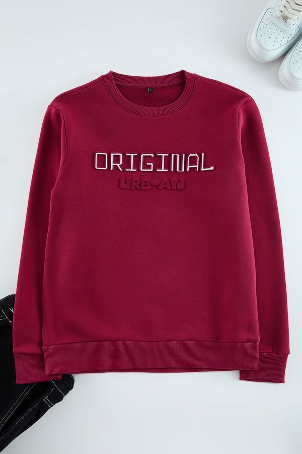 Trendyol Trendyol Burgundy Slim/Slim Cut Puffy Printed Sweatshirt