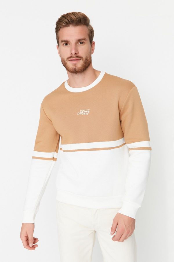 Trendyol Trendyol Camel Regular/Real Fit Long Sleeve Crew Neck Printed Paneled Sweatshirt