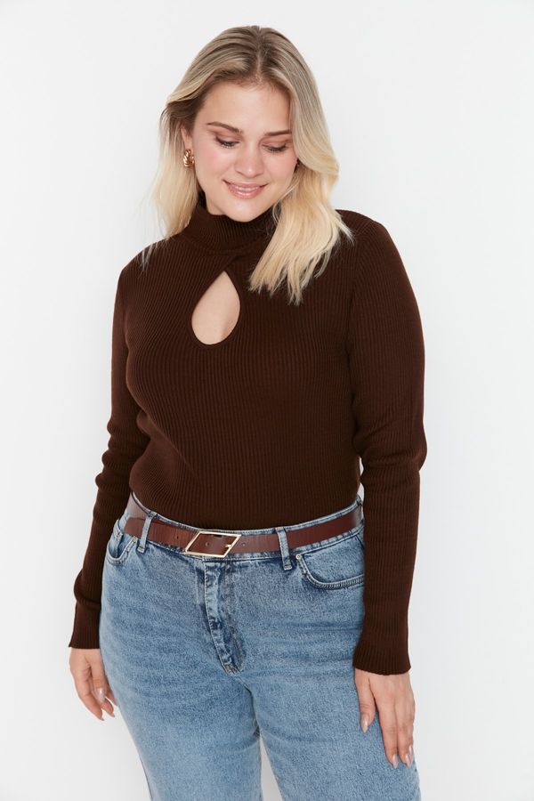 Trendyol Trendyol Curve Brown Knitwear Sweater