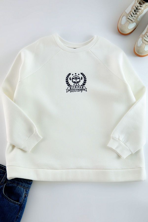 Trendyol Trendyol Curve Ecru Thick Inside Fleece Embroidery Detailed Knitted Sweatshirt