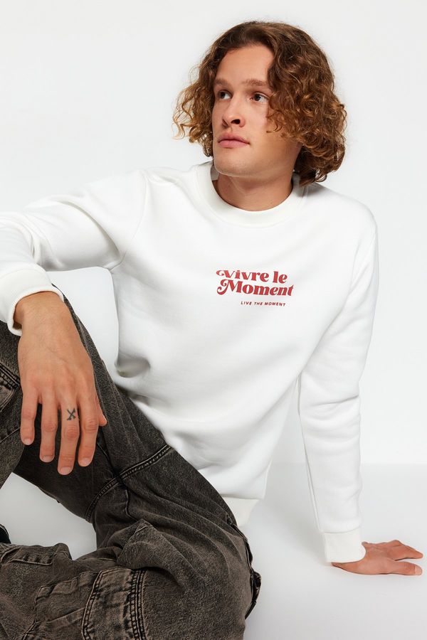 Trendyol Trendyol Ecru Men's Regular/Normal Cut Long Sleeve Fluffy Text Printed Sweatshirt