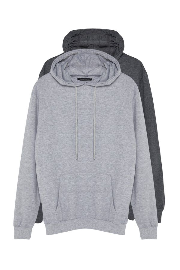 Trendyol Trendyol Gray 2 Pack Regular/Normal Fit Basic Hooded Sweatshirt