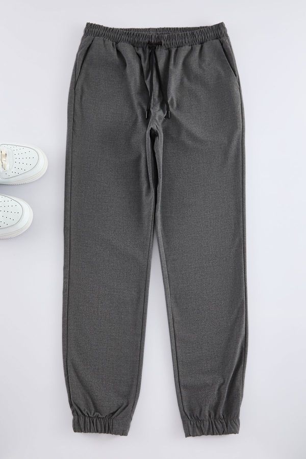 Trendyol Trendyol Gray Slim Fit Jogger Waist Lace Fabric Trousers