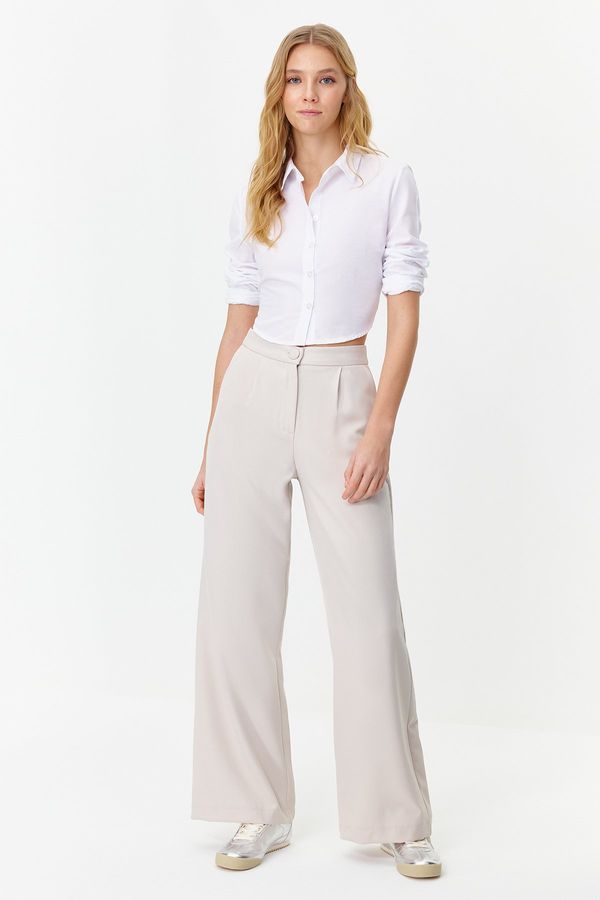 Trendyol Trendyol Gray Wide Leg/Wide Leg Pleated Woven Trousers