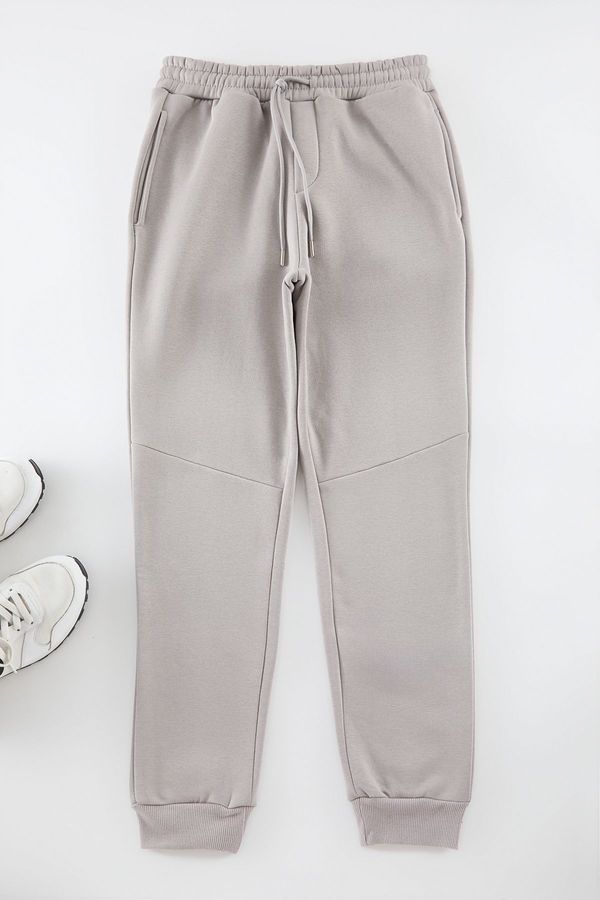 Trendyol Trendyol Grey Regular Cut Cut Detail Thick Sweatpants