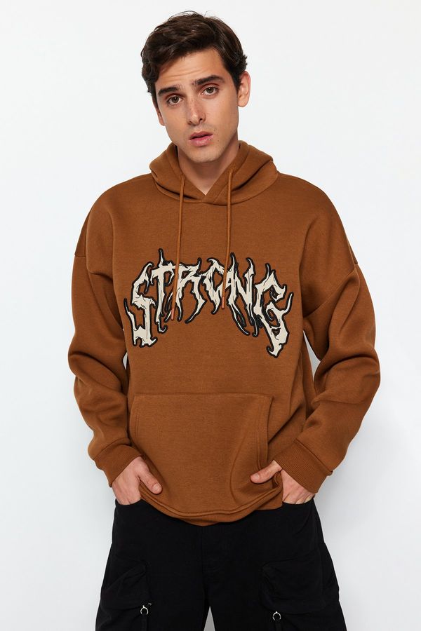 Trendyol Trendyol Light Brown Oversize/Wide-Cut Fleece Embroidered Text Sweatshirt