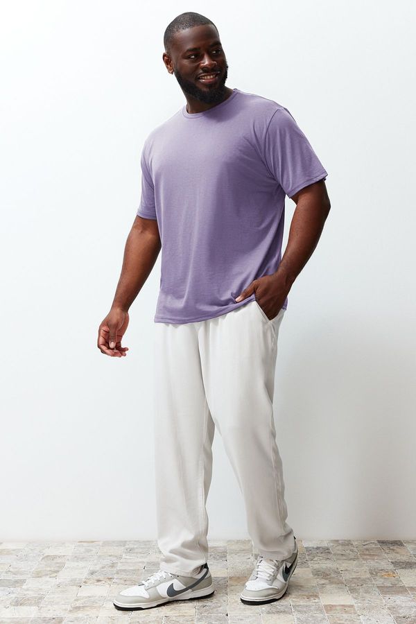 Trendyol Trendyol Lilac Large Size Comfortable Regular/Normal Fit Basic T-Shirt