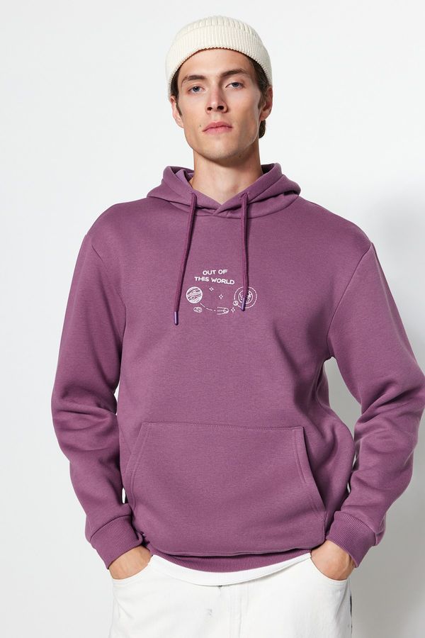 Trendyol Trendyol Lilac Men's Regular/Normal Cut Space Embroidery Hooded Fleece Inside Cotton Sweatshirt