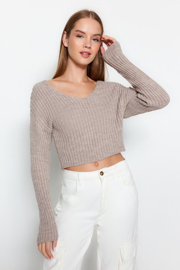 Trendyol Trendyol Mink Crop Basic V-Neck Knitwear Sweater
