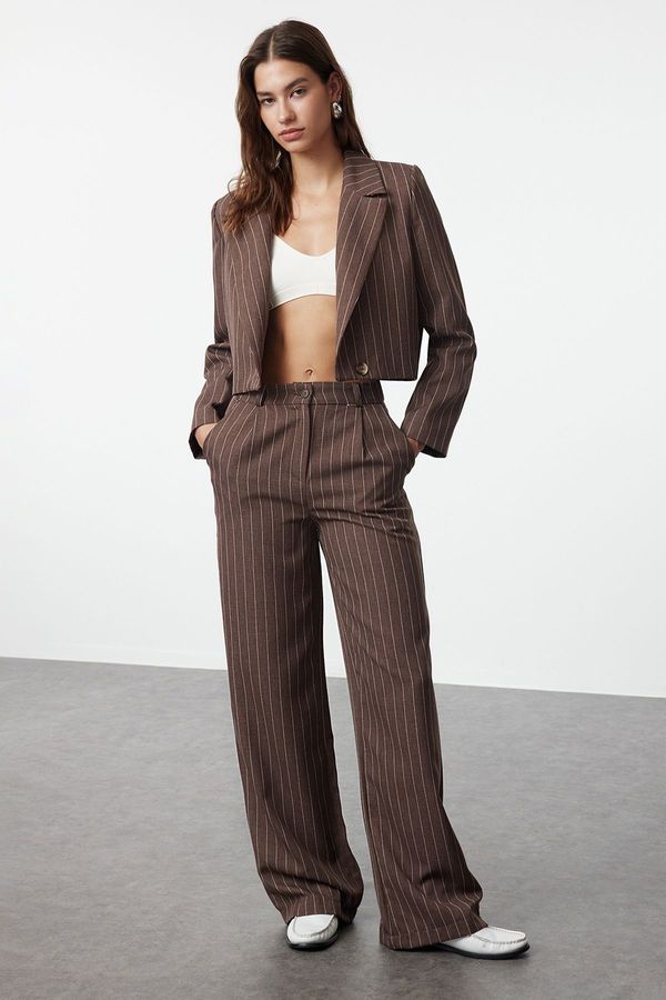 Trendyol Trendyol Mink High Waist Wide Leg/Wide Leg Striped Woven Trousers