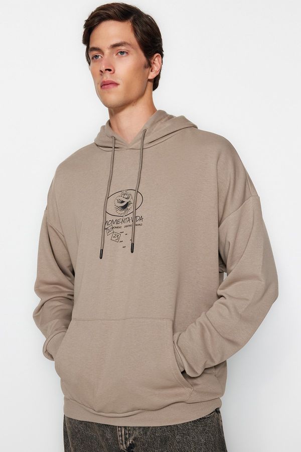 Trendyol Trendyol Mink Oversize/Wide-Fit Hooded Mystic Back Printed Cotton Sweatshirt