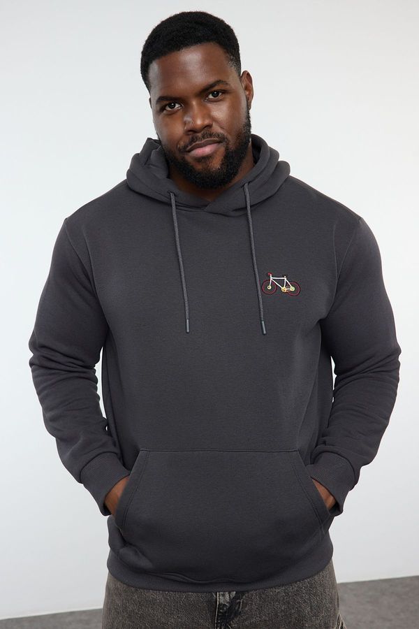 Trendyol Trendyol Plus Size Anthracite Regular/Normal Cut Hooded Sweatshirt with Polar Fleece Inside