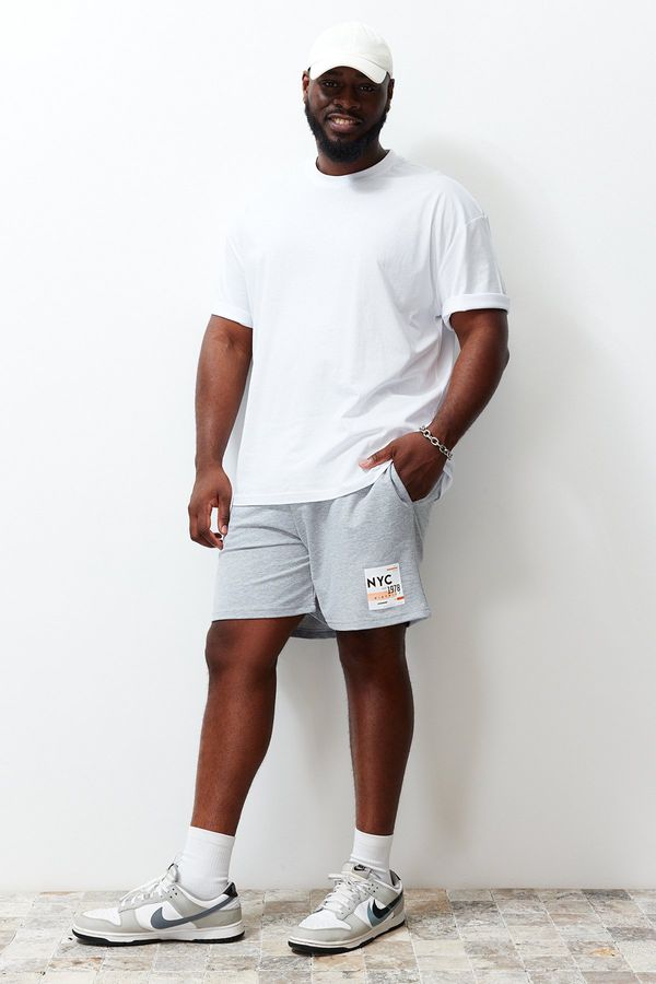 Trendyol Trendyol Plus Size Gray Regular/Regular Fit City Printed Elastic Waist Tied Shorts