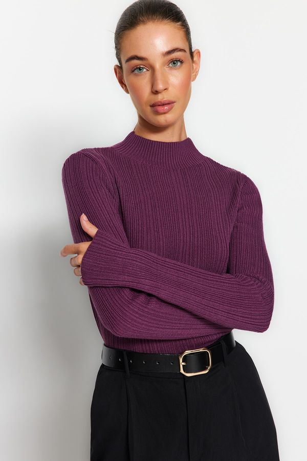 Trendyol Trendyol Purple High Neck Knitwear Sweater