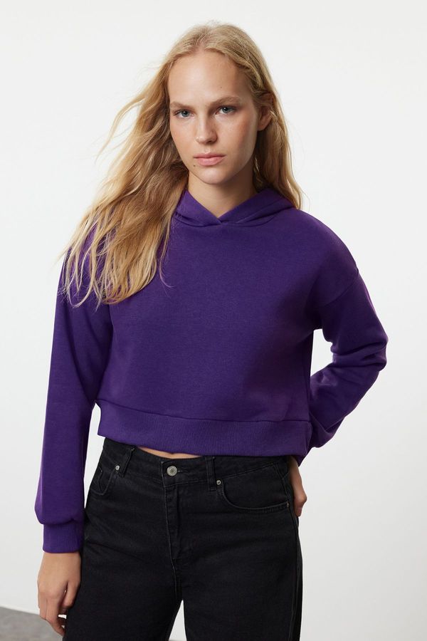 Trendyol Trendyol Purple Thick Fleece Hooded Casual Cut Crop Knitted Sweatshirt Knitted Sweatshirt