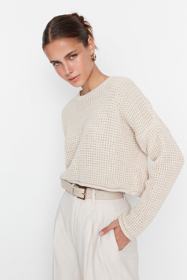 Trendyol Trendyol Stone Crop Knitwear Sweater
