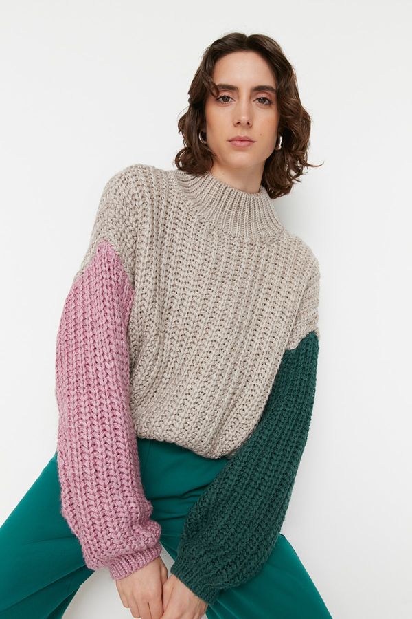 Trendyol Trendyol Stone Wide fit Soft Textured Color Block Knitwear Sweater