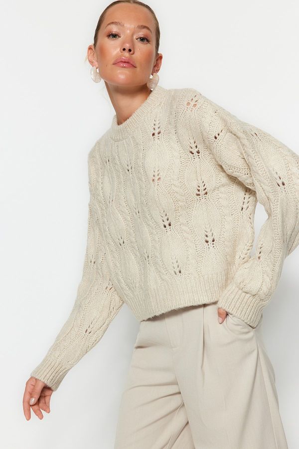 Trendyol Trendyol Stone Wide Pattern Openwork/Hole Knitwear Sweater