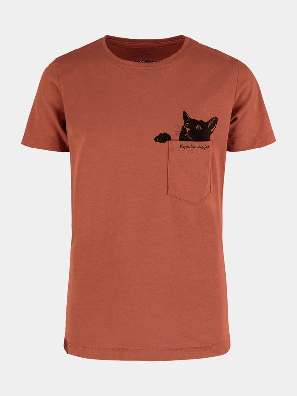 Volcano Volcano Kids's Regular Silhouette T-Shirt T-Cat Junior G02370-W22