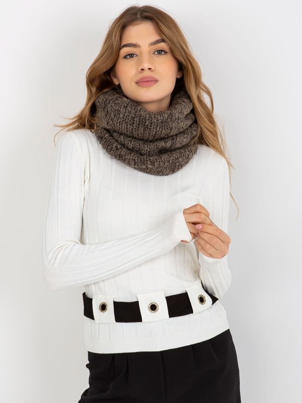 Fashionhunters Women's Winter Knitted Scarf - Brown