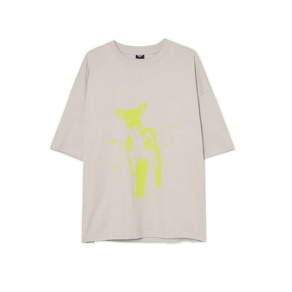 Cropp Cropp - Majica kratkih rukava s printom - light grey