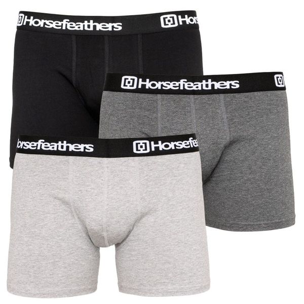 Horsefeathers 3PACK men's boxers Horsefeathers multicolored (AM067D)