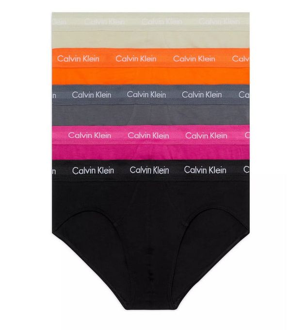 Calvin Klein 5PACK Calvin Klein Men's Briefs Multicolored