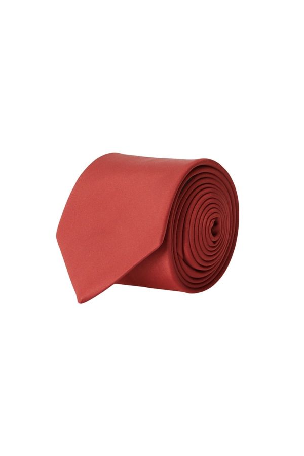 ALTINYILDIZ CLASSICS ALTINYILDIZ CLASSICS Men's Claret Red Patternless Classic Tie