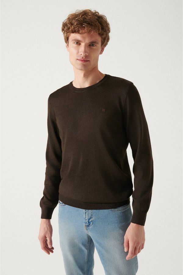 Avva Avva Men's Brown Crew Neck Wool-Mixed Knitwear Sweater