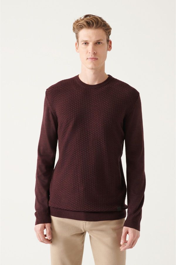 Avva Avva Men's Burgundy Crew Neck Front Textured Regular Fit Knitwear Sweater