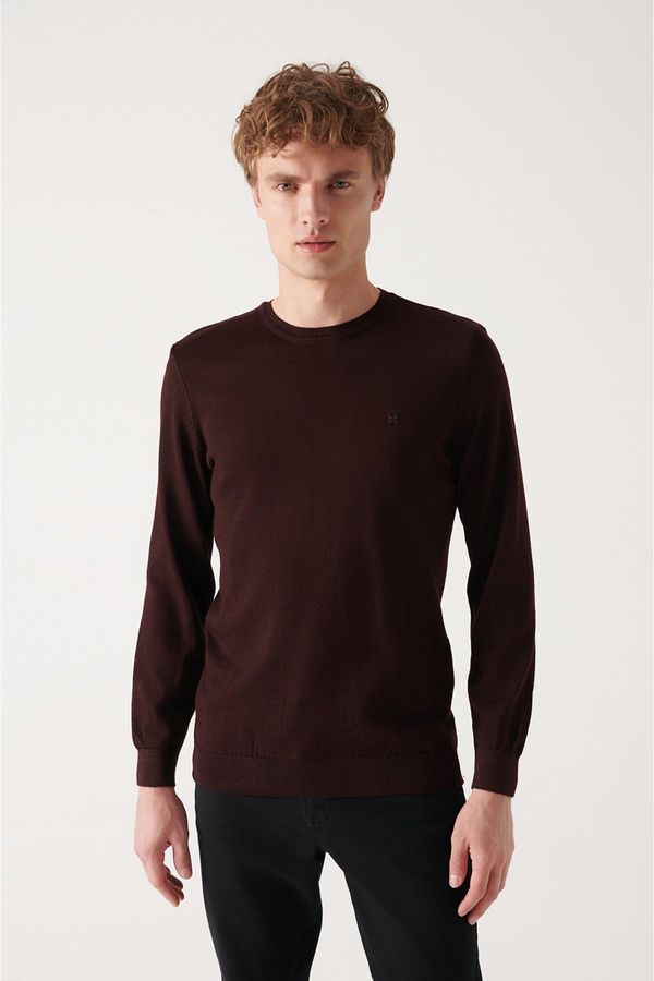 Avva Avva Men's Burgundy Crew Neck Wool Blended Standard Fit Normal Cut Knitwear Sweater