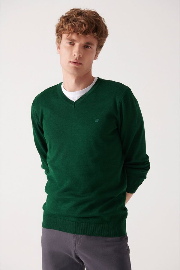 Avva Avva Men's Green V-Neck Wool Blend Standard Fit Regular Cut Knitwear Sweater