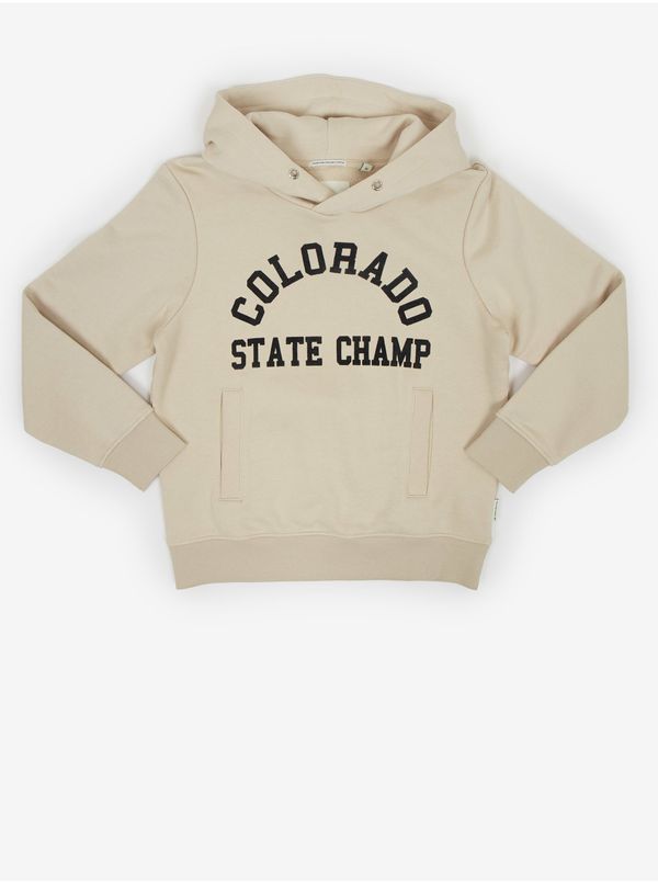 Tom Tailor Beige boys' hoodie Tom Tailor - Boys