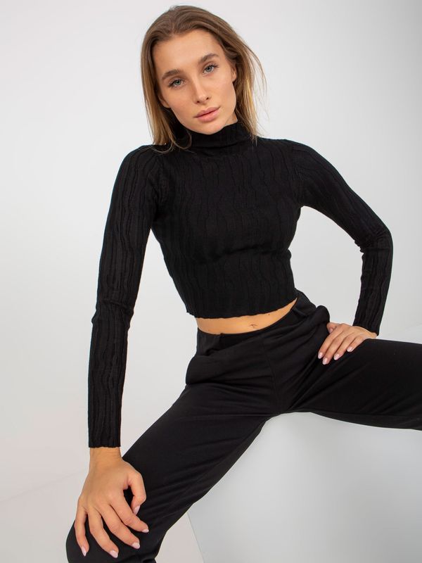 Fashionhunters Black short turtleneck with viscose