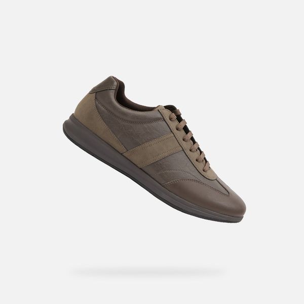 GEOX Brown men's sneakers Geox Avery - Men's