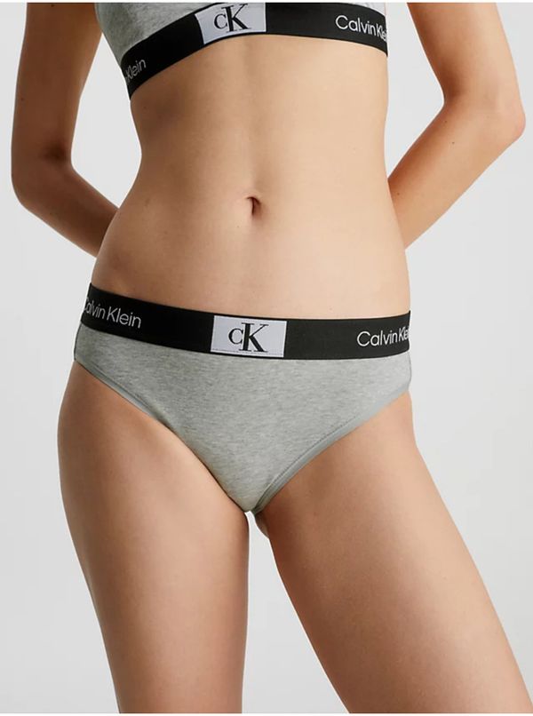 Calvin Klein Calvin Klein Underwear Light Grey Women's Panties - Women