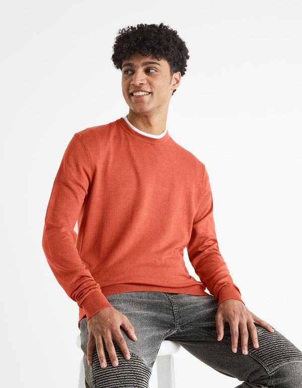 Celio Celio Smooth Sweater Befirst - Men