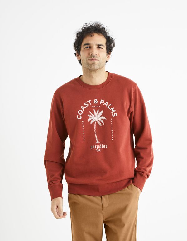 Celio Celio Sweatshirt Begrif with print - Men