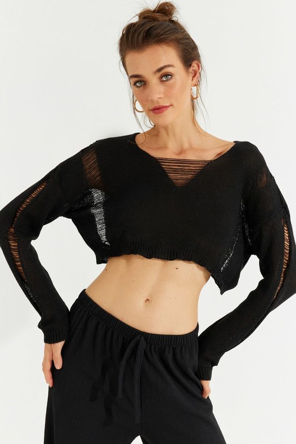 Cool & Sexy Cool & Sexy Women's Black Knitwear Crop Top