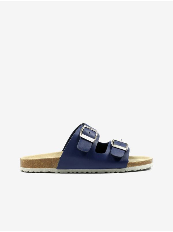 Richter Dark blue boys' slippers Richter - Boys