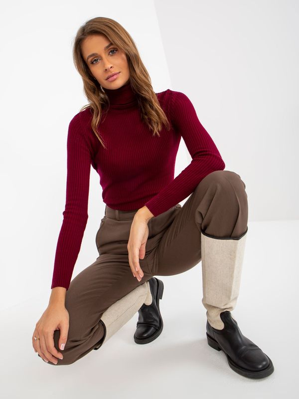 Fashionhunters Dark burgundy simple sweater with ribbed turtleneck