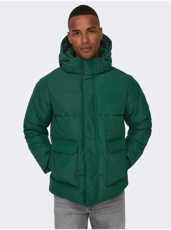 Only Dark Green Men's Quilted Winter Jacket ONLY & SONS Carl - Men
