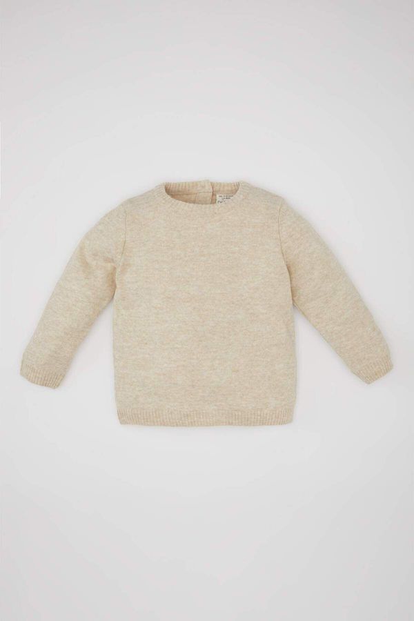 DEFACTO DEFACTO Baby Boy Crew Neck Sweater