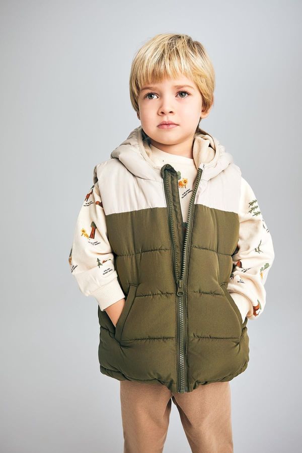 DEFACTO DEFACTO Baby Boy Water Repellent Hooded Fleece Lined Puffer Vest