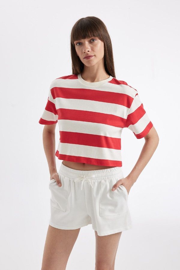 DEFACTO DEFACTO Boxy Fit Crew Neck Striped Basic Short Sleeve T-Shirt