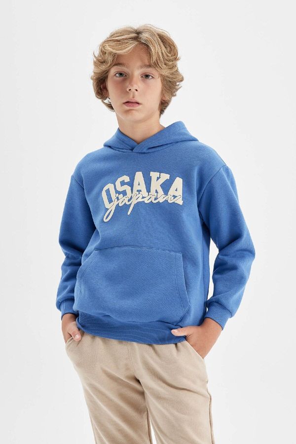 DEFACTO DEFACTO Boy Blue Printed Hooded Pocket Sweatshirt